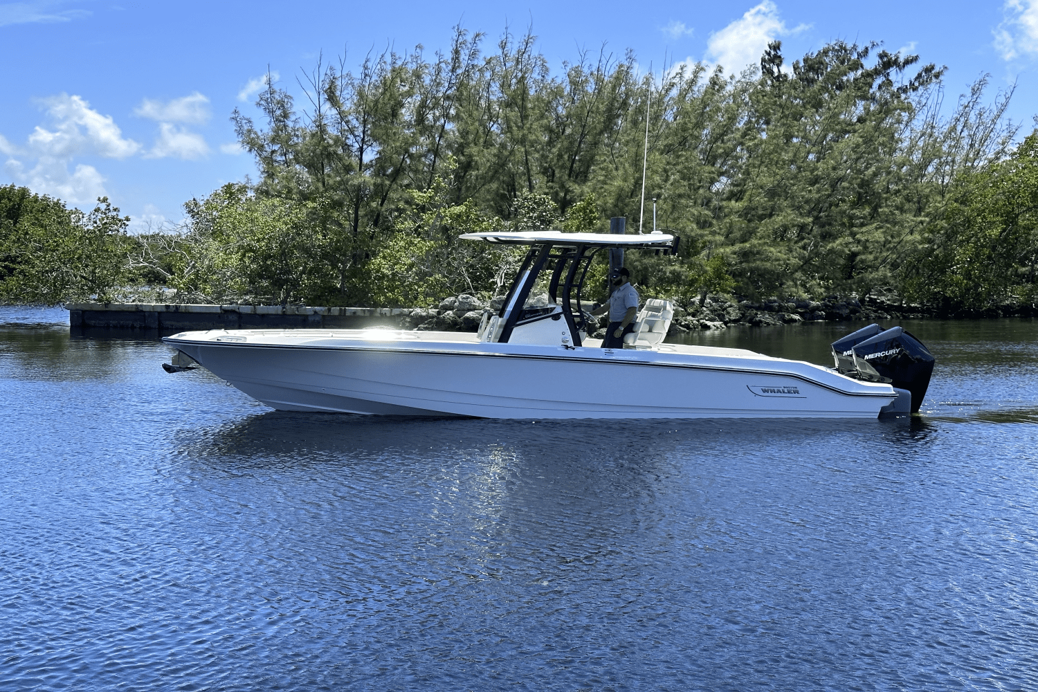 Slide: The Image of Boston Whaler 280 Dauntless 2025 - 0