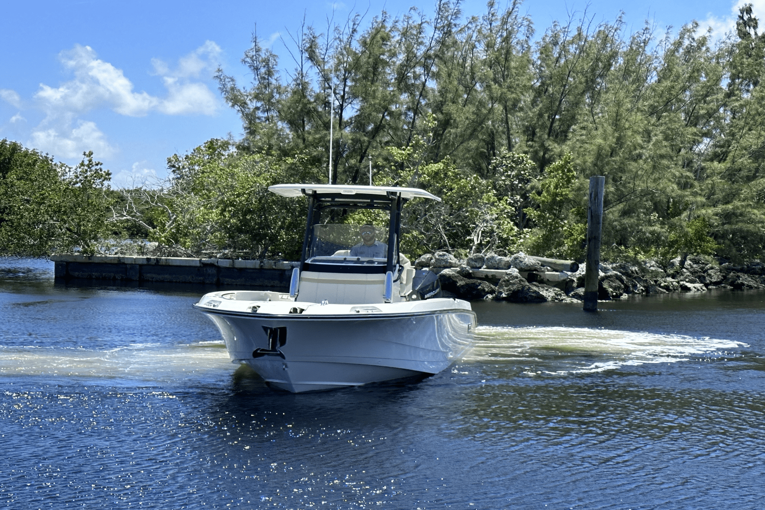 Slide: The Image of Boston Whaler 280 Dauntless 2025 - 1