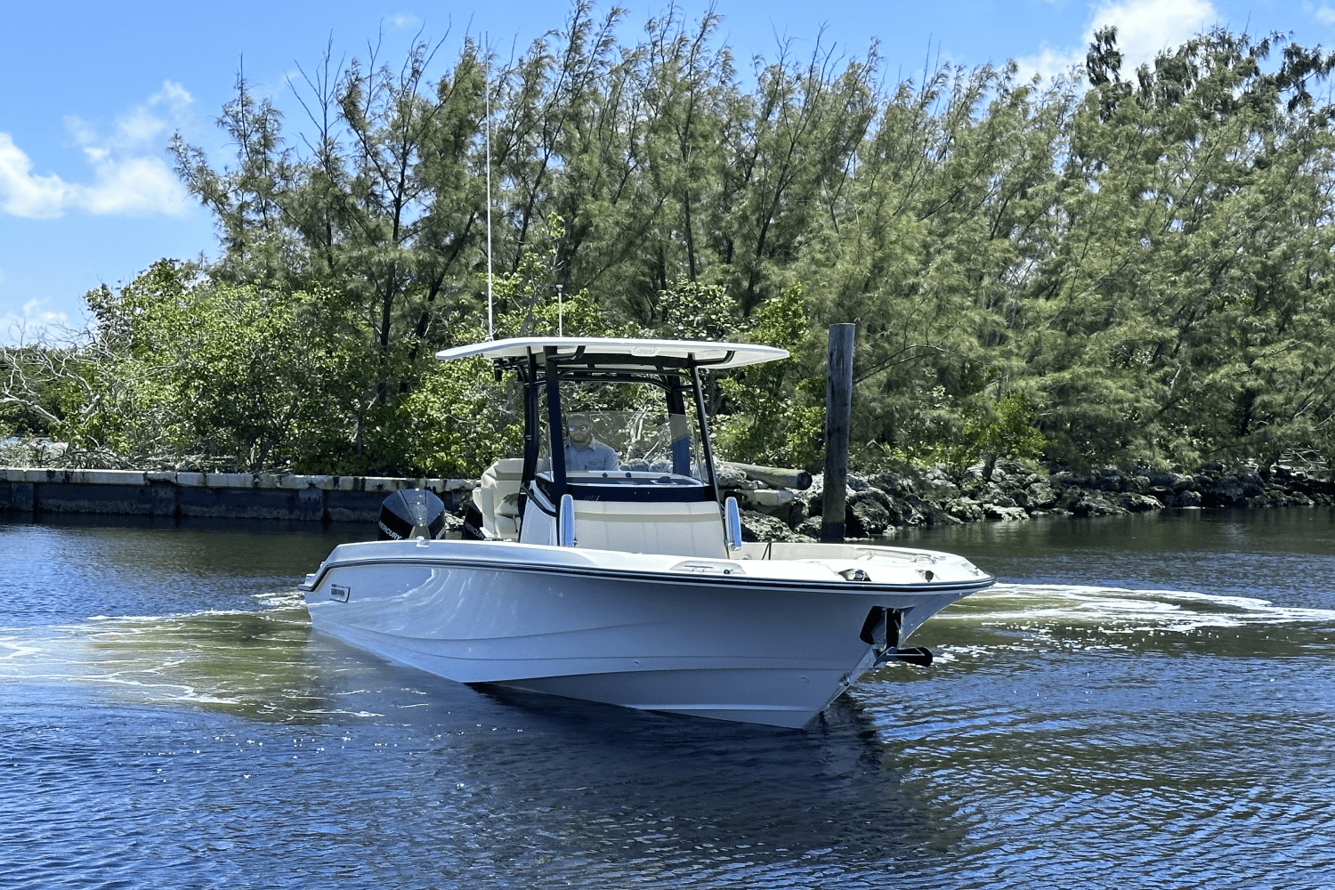 Slide: The Image of Boston Whaler 280 Dauntless 2025 - 2