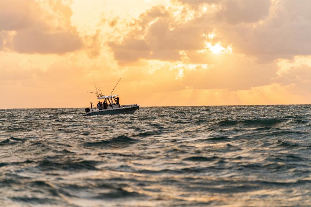 Slide: The Image of Boston Whaler 280 Dauntless 2026 - 106