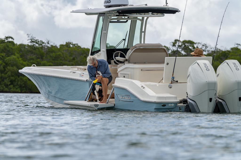 Slide: The Image of Boston Whaler 280 Dauntless 2026 - 116