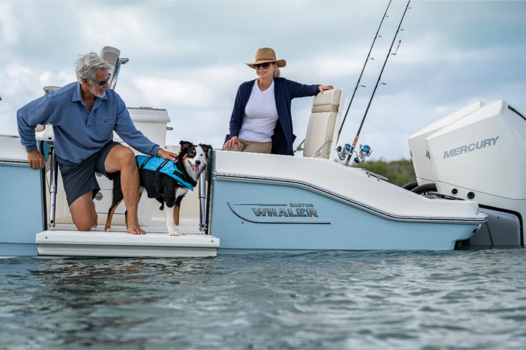 Slide: The Image of Boston Whaler 280 Dauntless 2026 - 16
