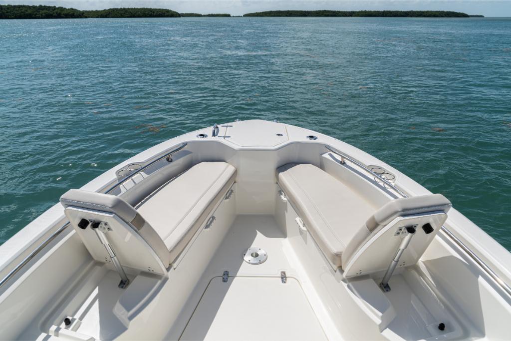 Slide: The Image of Boston Whaler 280 Dauntless 2026 - 38