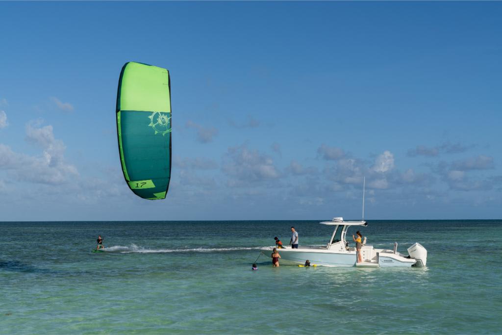 Slide: The Image of Boston Whaler 280 Dauntless 2026 - 39