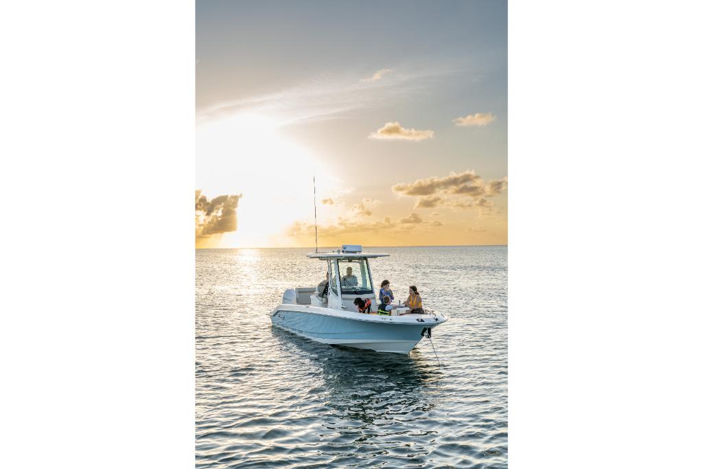 Slide: The Image of Boston Whaler 280 Dauntless 2026 - 40