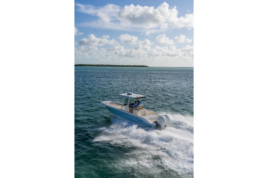 Slide: The Image of Boston Whaler 280 Dauntless 2026 - 45