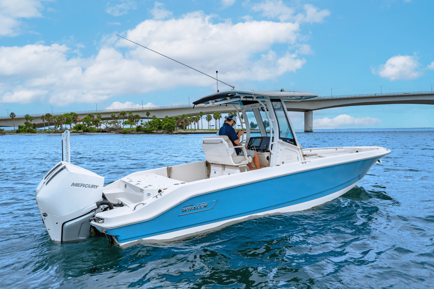 Slide: The Image of Boston Whaler 280 Dauntless 2026 - 5