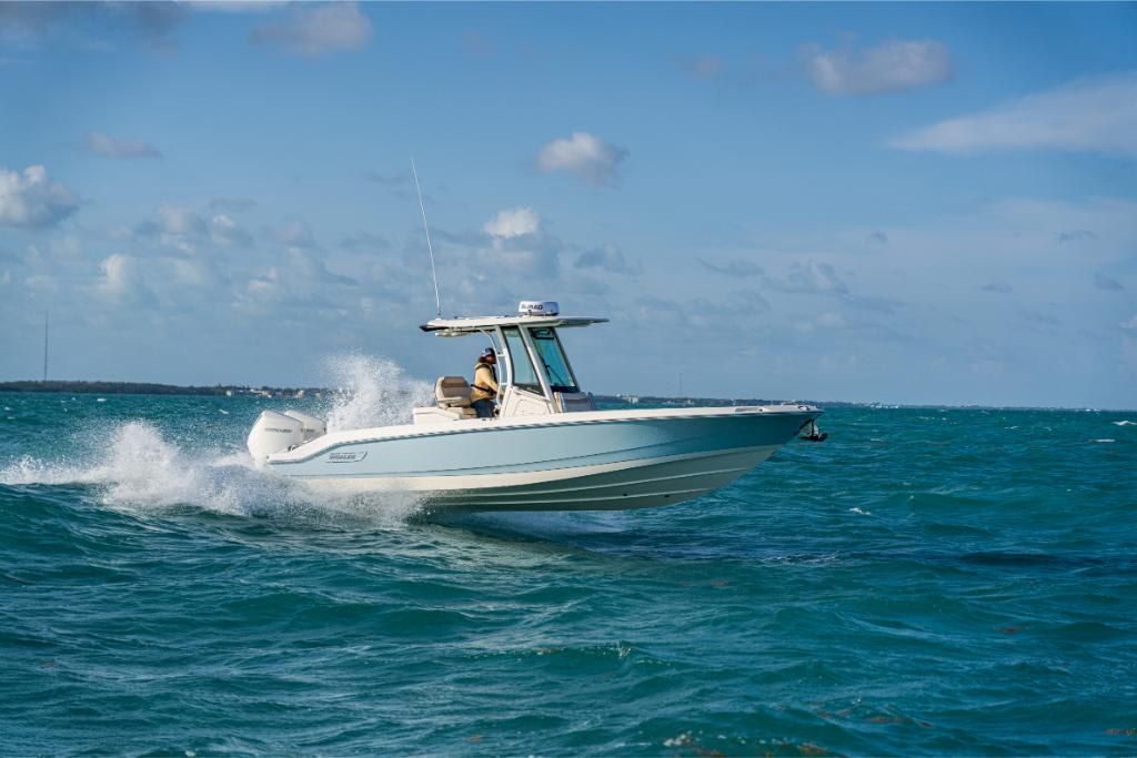 Slide: The Image of Boston Whaler 280 Dauntless 2026 - 52