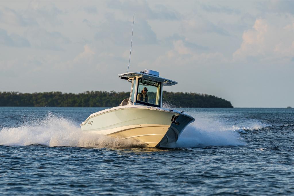 Slide: The Image of Boston Whaler 280 Dauntless 2026 - 54