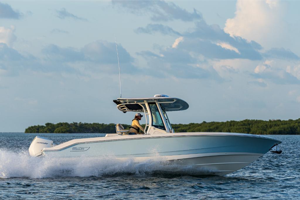 Slide: The Image of Boston Whaler 280 Dauntless 2026 - 55