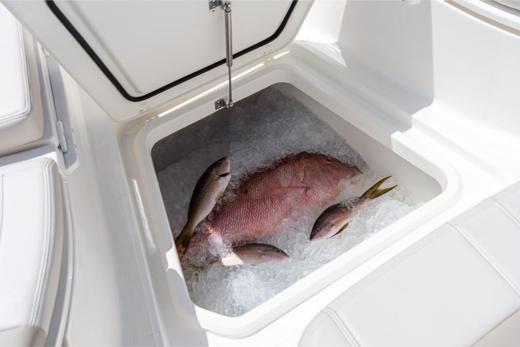 Slide: The Image of Boston Whaler 280 Dauntless 2026 - 70