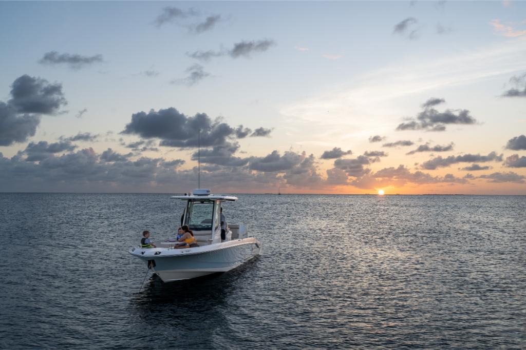 Slide: The Image of Boston Whaler 280 Dauntless 2026 - 73