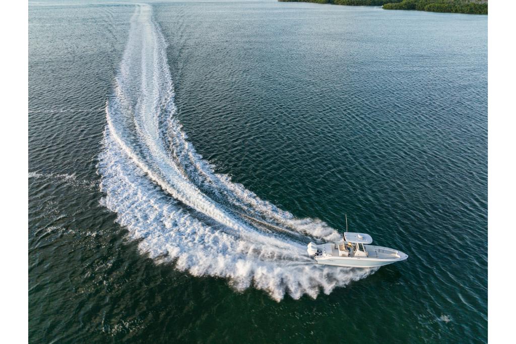 Slide: The Image of Boston Whaler 280 Dauntless 2026 - 77