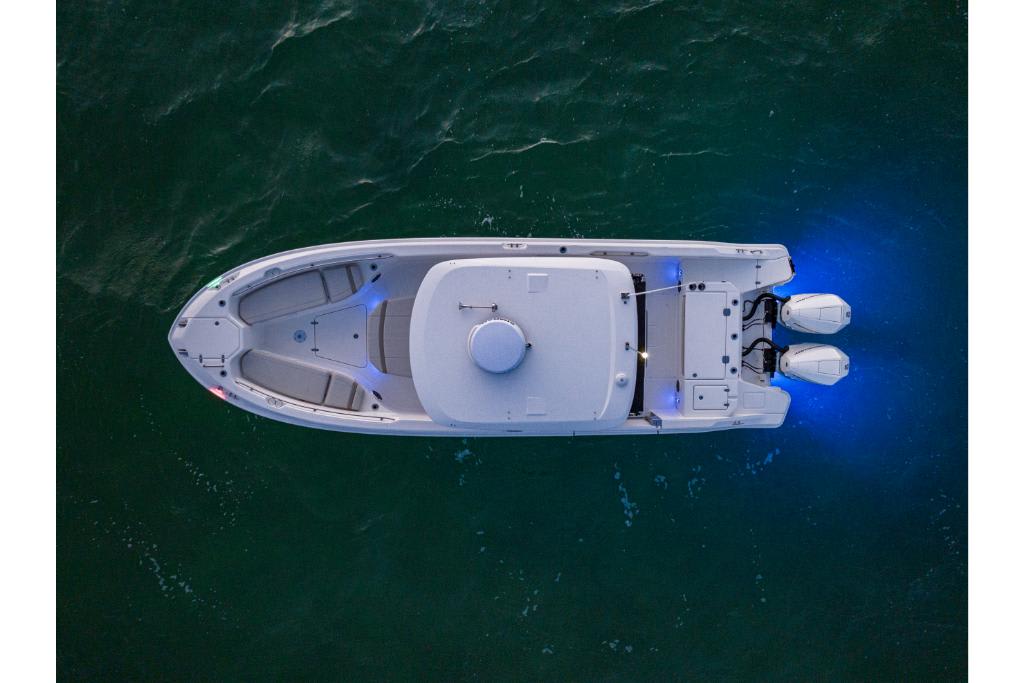 Slide: The Image of Boston Whaler 280 Dauntless 2026 - 80