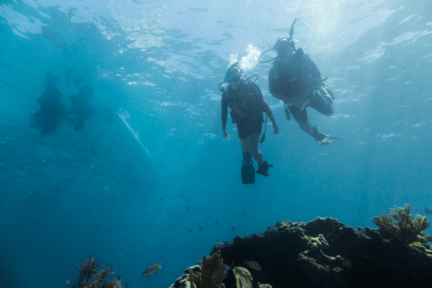 Slide: The Image of Boston Whaler 280 Outrage 2026 - 42