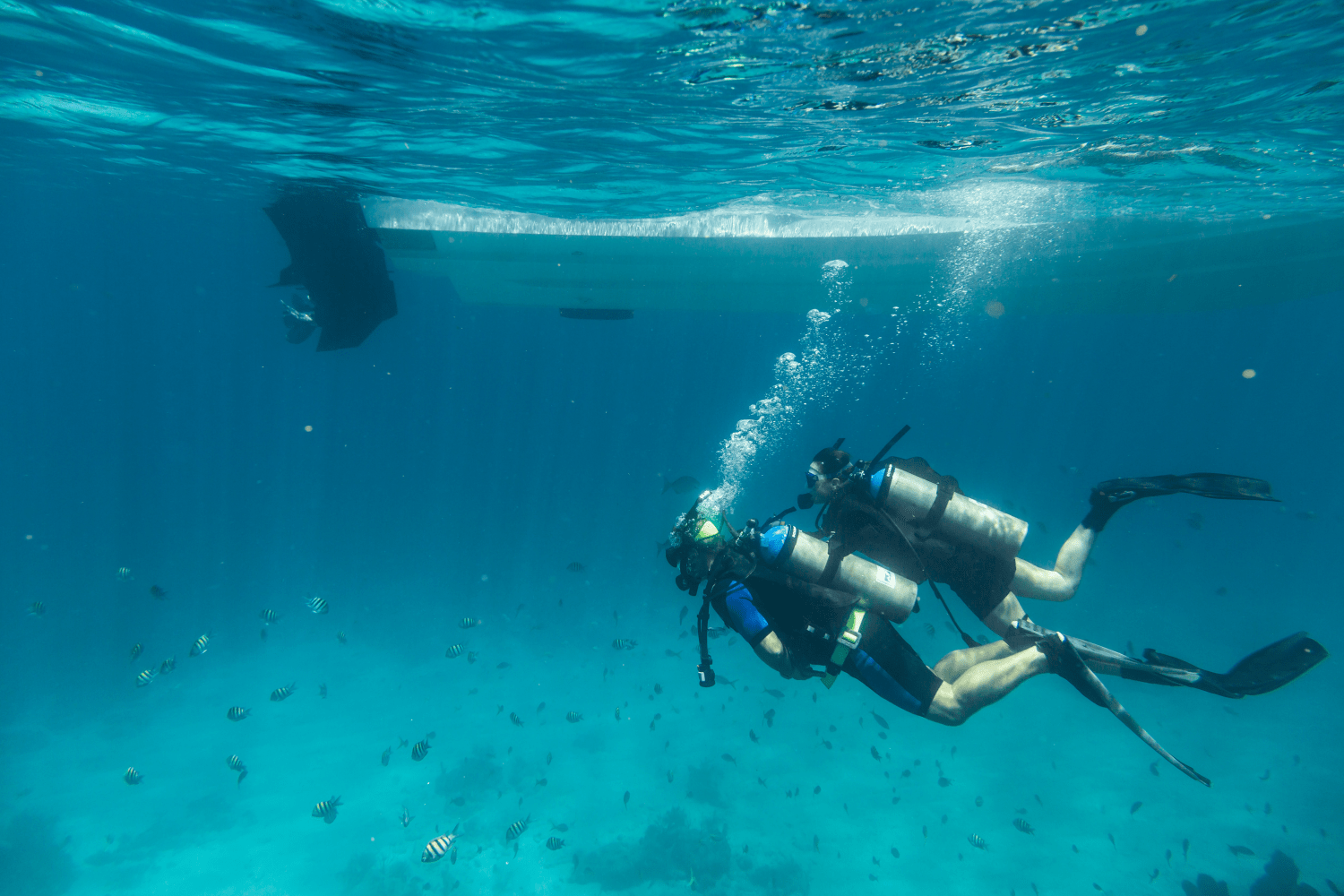 Slide: The Image of Boston Whaler 280 Outrage 2026 - 44