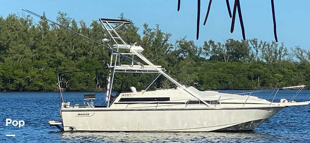 Slide: The Image of Boston Whaler 31 1989 - 15810634