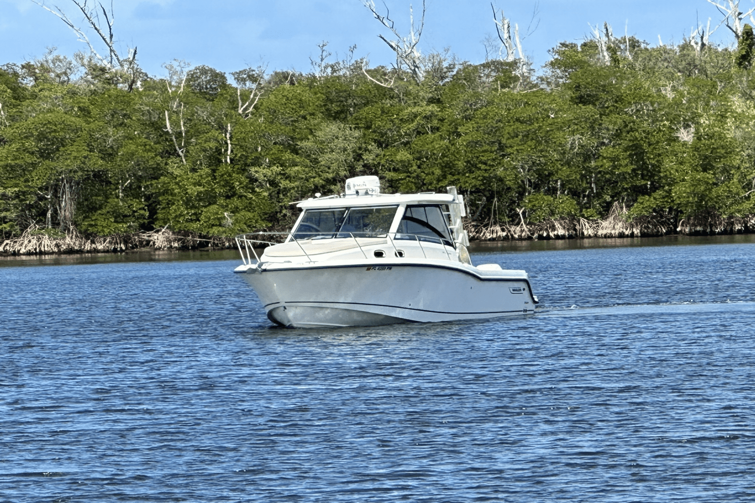Slide: The Image of Boston Whaler 315 CONQUEST 2015 - 10