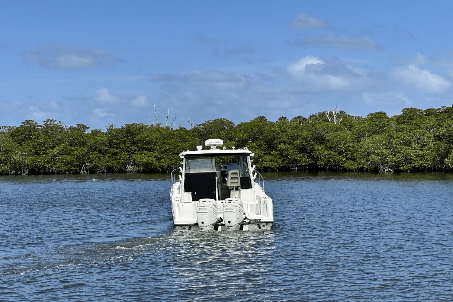 Slide: The Image of Boston Whaler 315 CONQUEST 2015 - 7