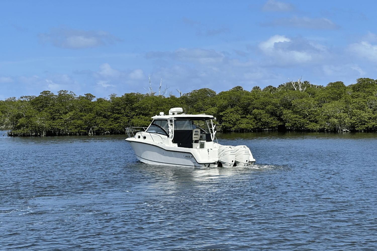 Slide: The Image of Boston Whaler 315 CONQUEST 2015 - 8