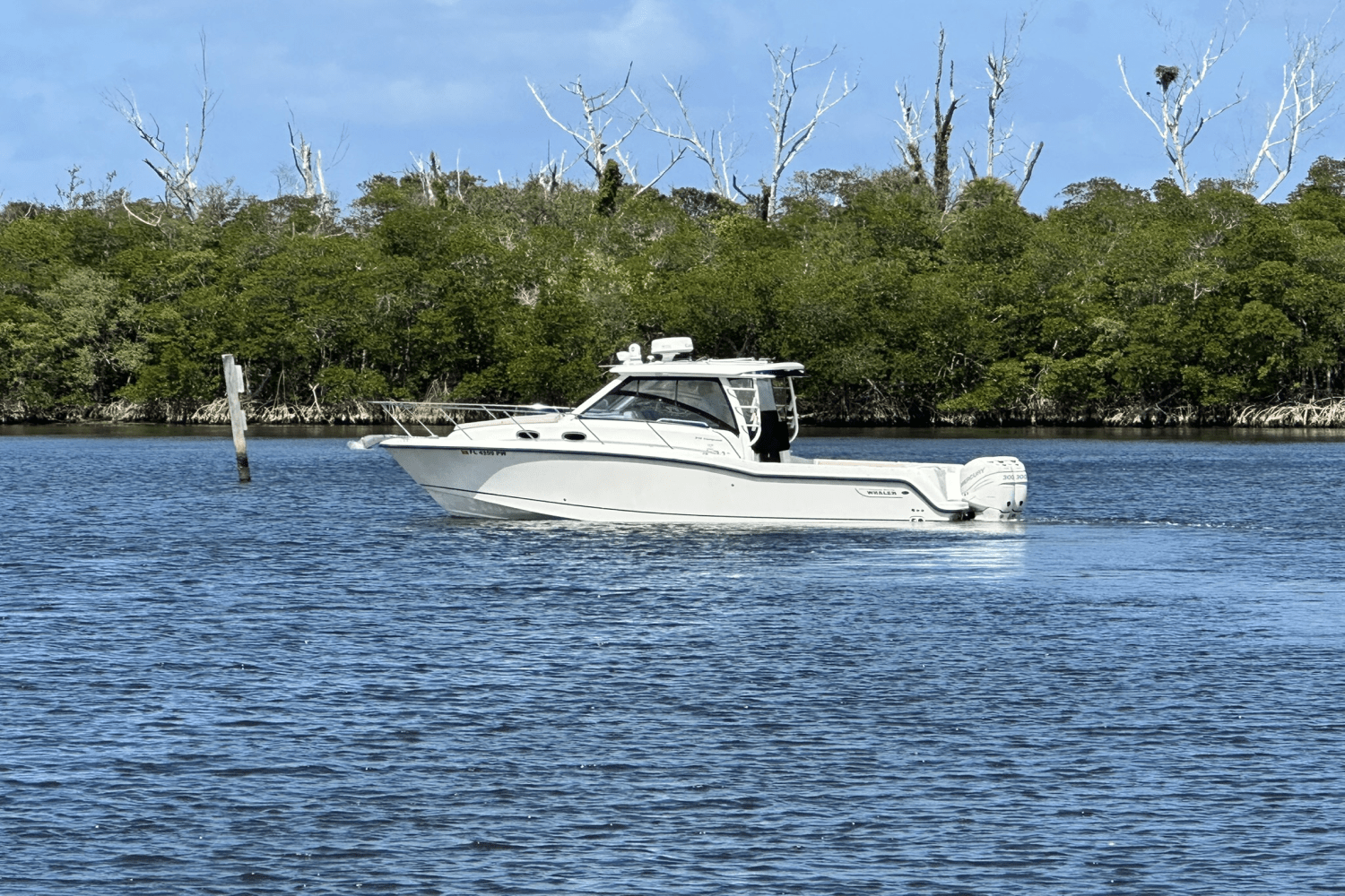 Slide: The Image of Boston Whaler 315 CONQUEST 2015 - 9