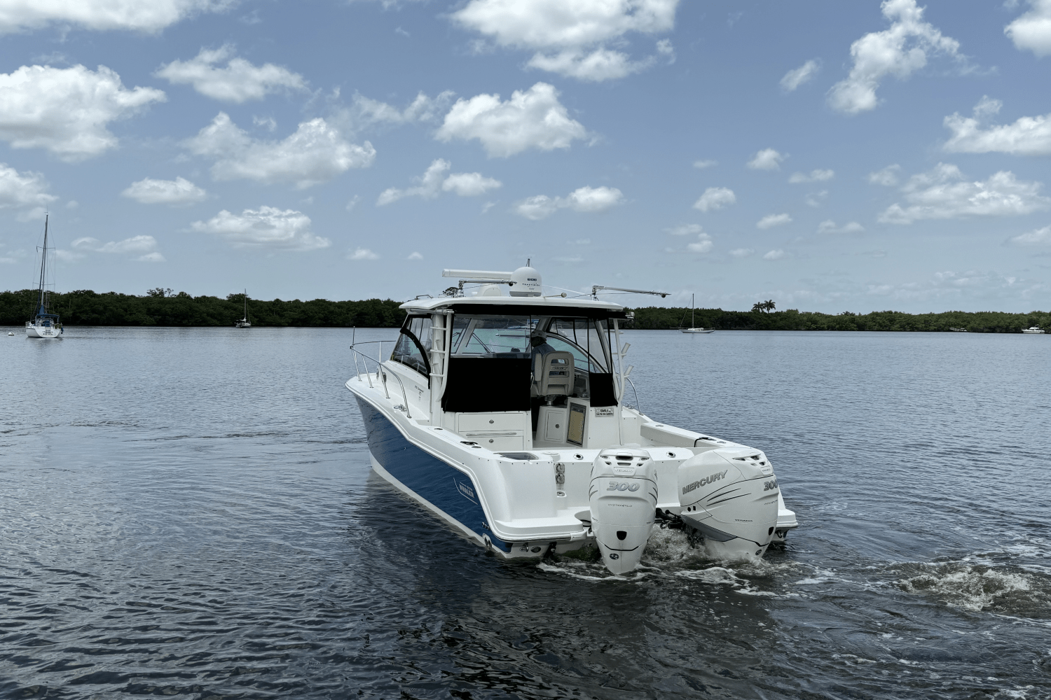 Slide: The Image of Boston Whaler 315 CONQUEST 2016 - 10