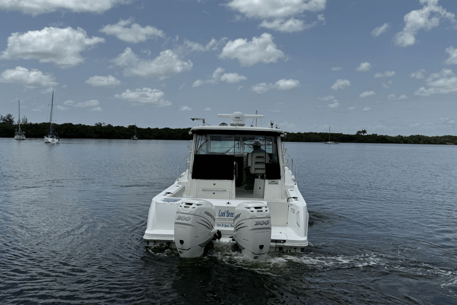 Slide: The Image of Boston Whaler 315 CONQUEST 2016 - 11