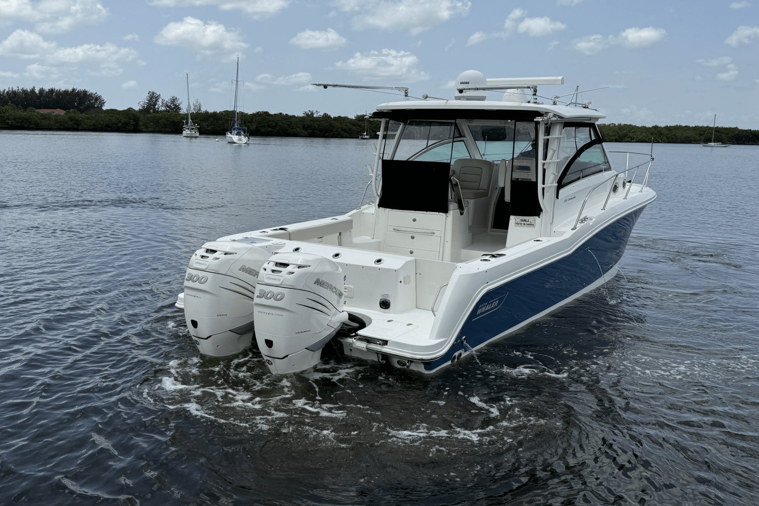 Slide: The Image of Boston Whaler 315 CONQUEST 2016 - 13