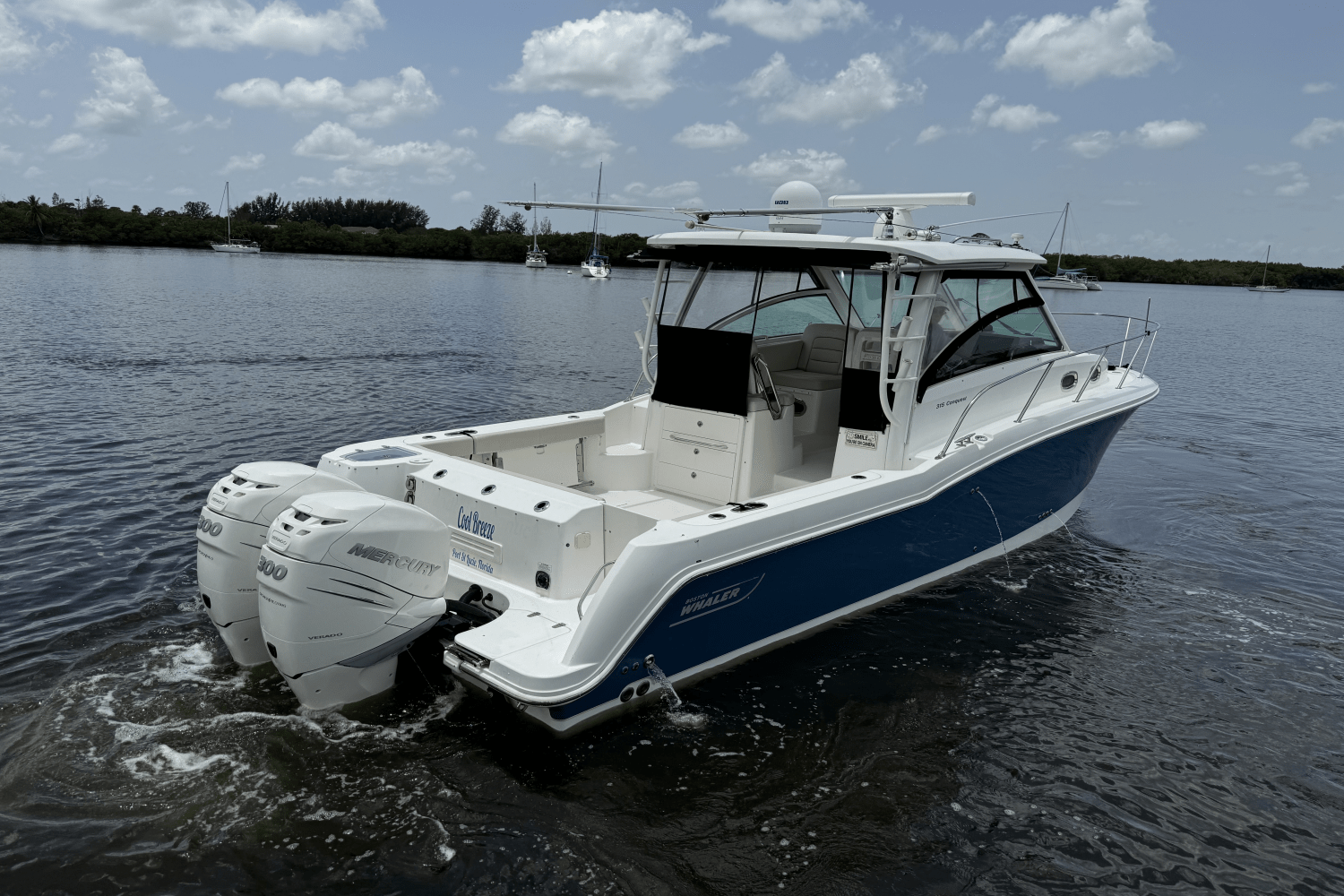 Slide: The Image of Boston Whaler 315 CONQUEST 2016 - 14
