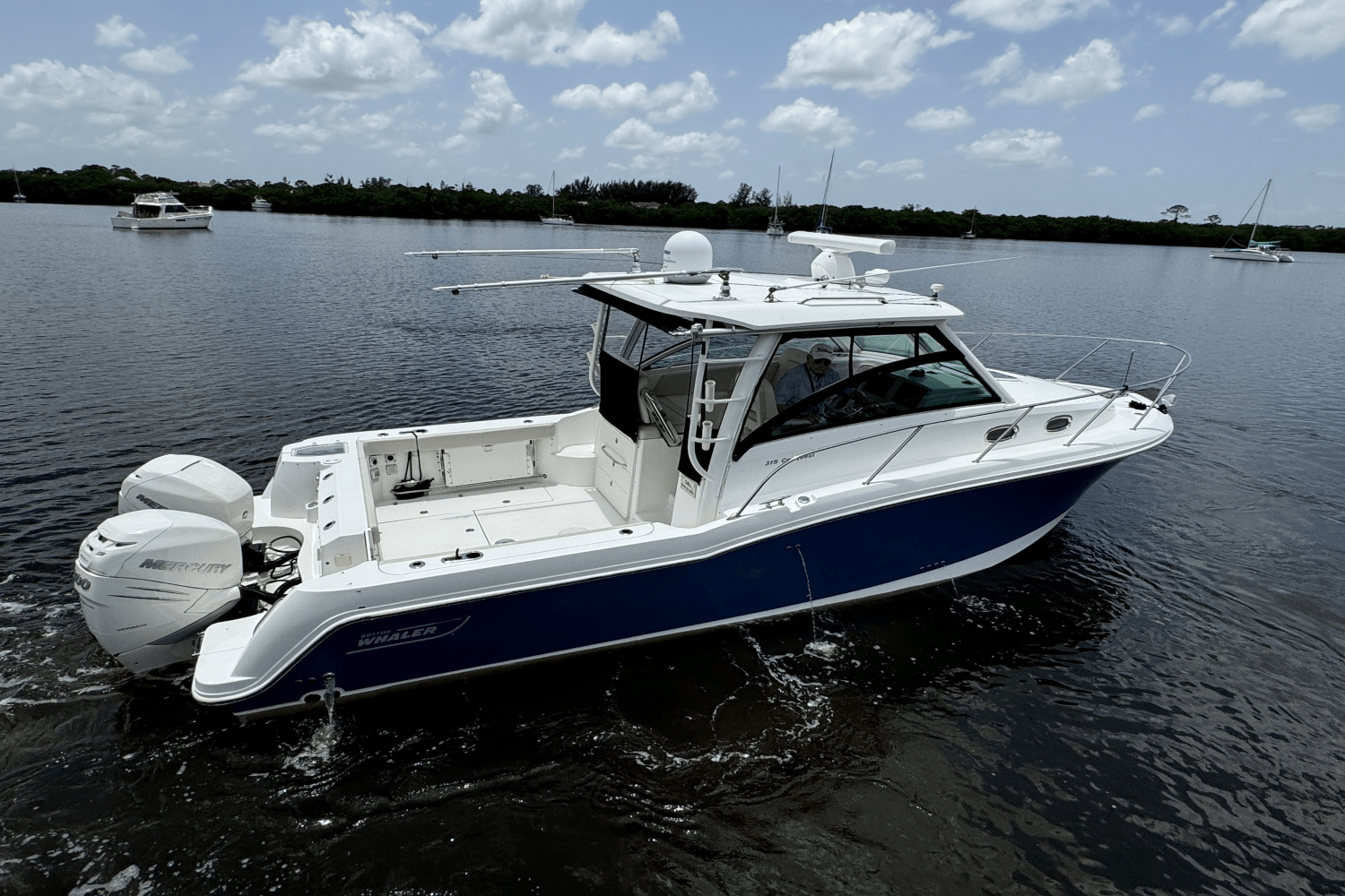 Slide: The Image of Boston Whaler 315 CONQUEST 2016 - 15