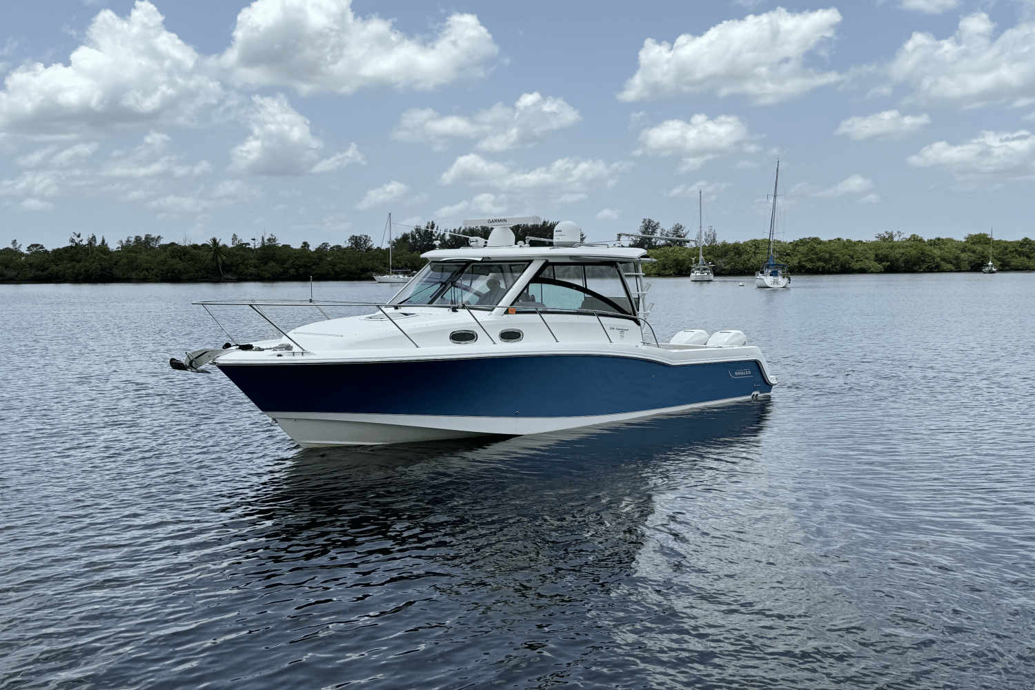 Slide: The Image of Boston Whaler 315 CONQUEST 2016 - 5