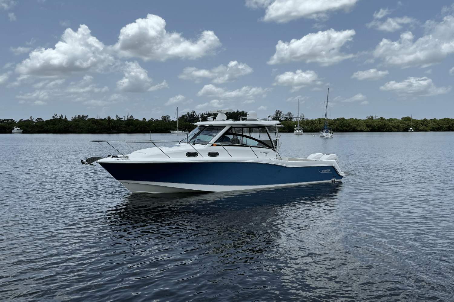Slide: The Image of Boston Whaler 315 CONQUEST 2016 - 6