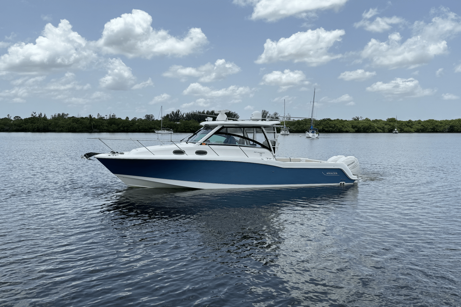 Slide: The Image of Boston Whaler 315 CONQUEST 2016 - 7