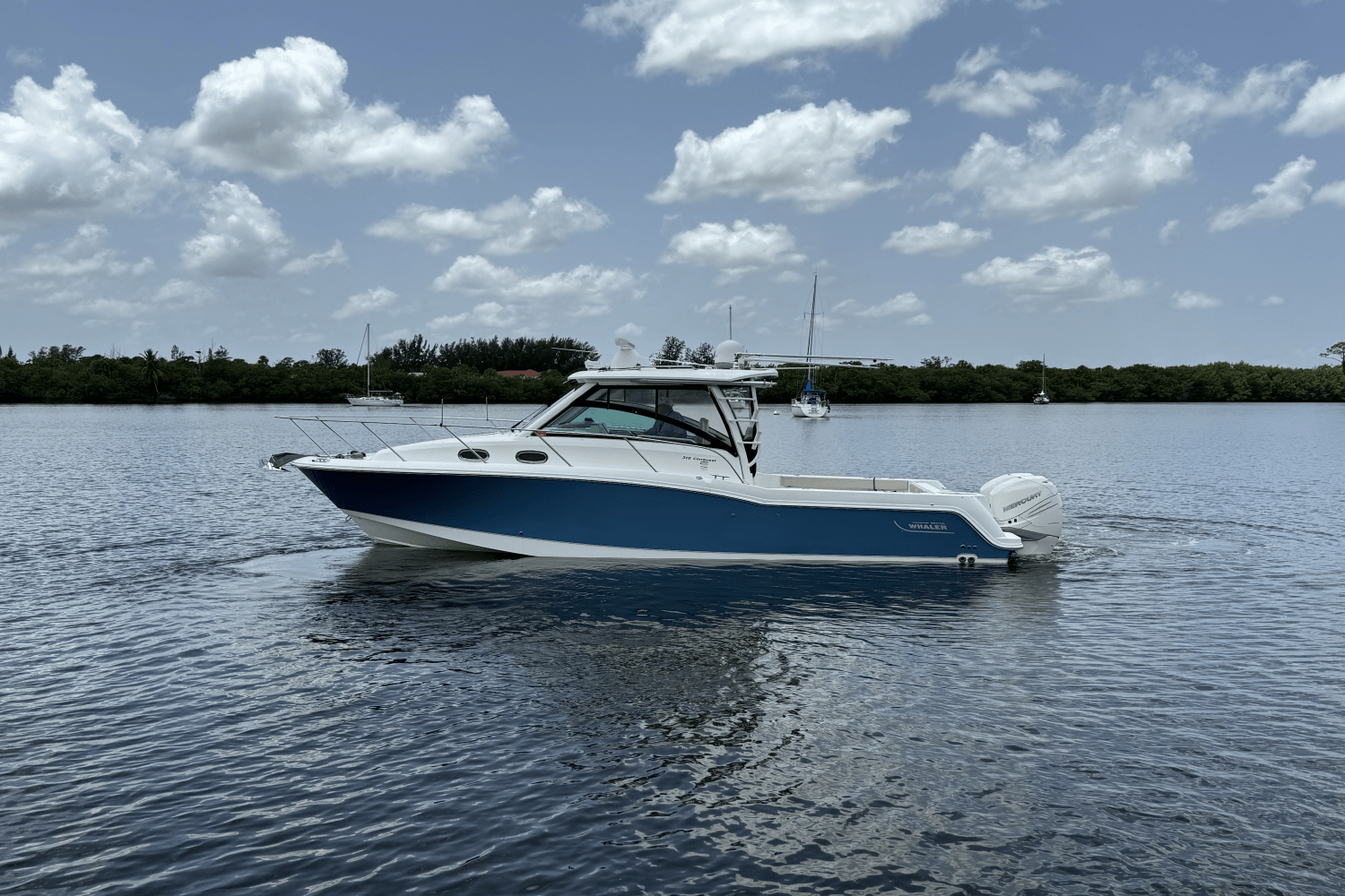 Slide: The Image of Boston Whaler 315 CONQUEST 2016 - 8