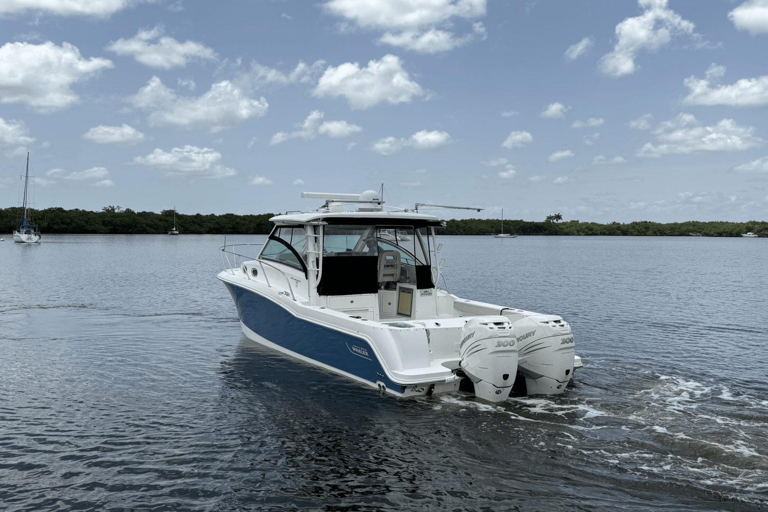Slide: The Image of Boston Whaler 315 CONQUEST 2016 - 9