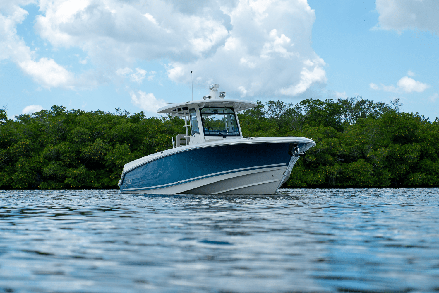 Slide: The Image of Boston Whaler 330 Outrage 2018 - 42