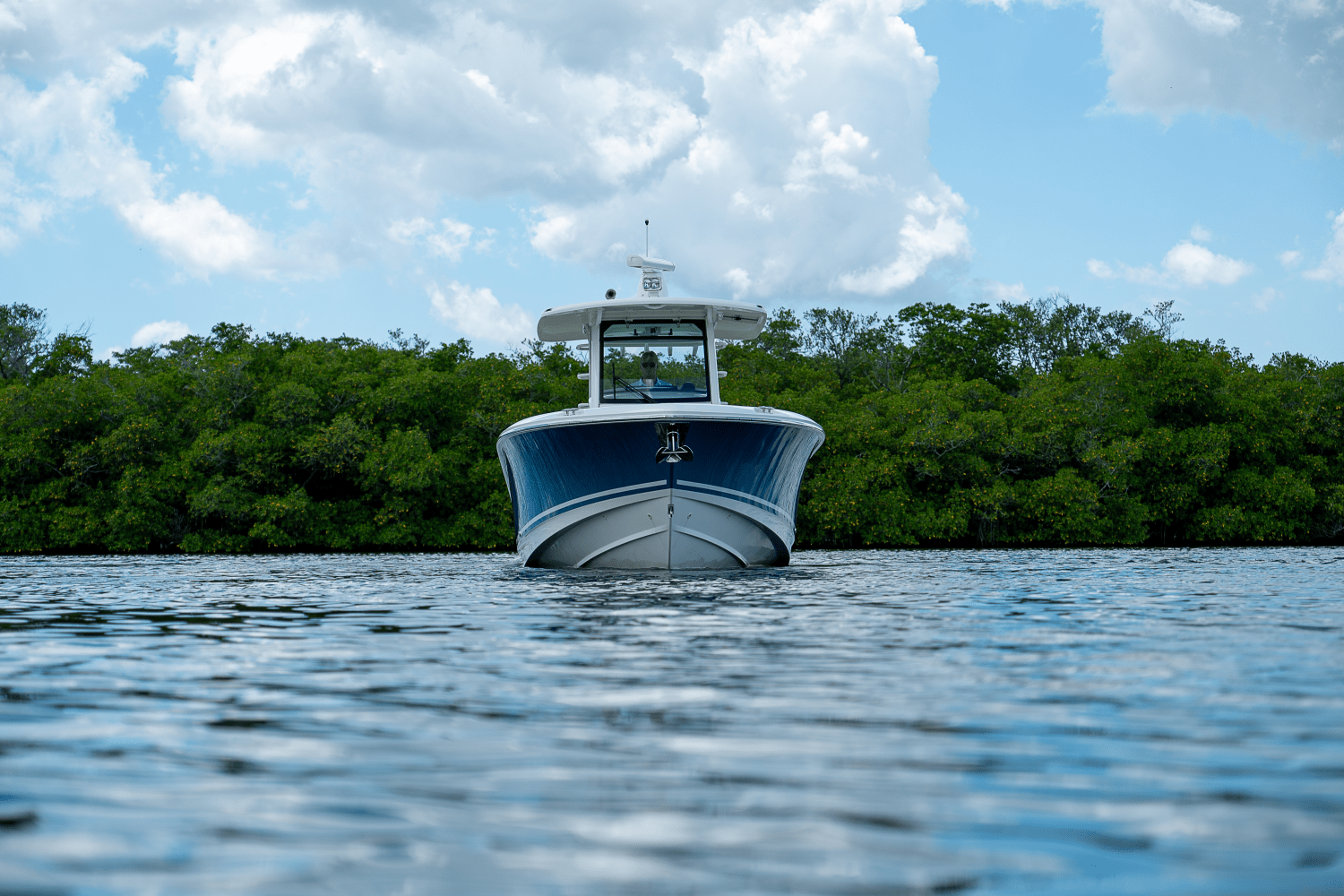 Slide: The Image of Boston Whaler 330 Outrage 2018 - 43