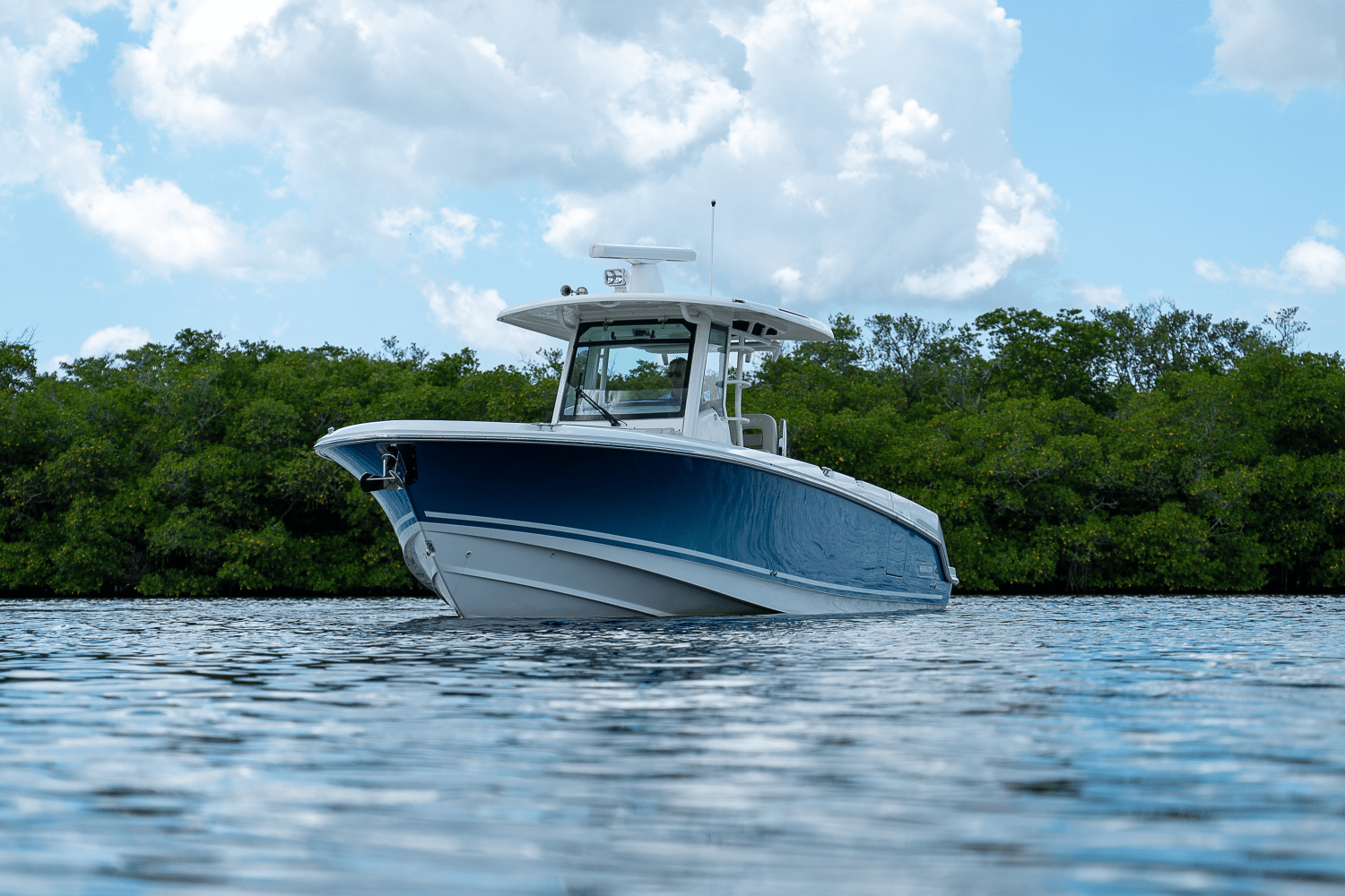 Slide: The Image of Boston Whaler 330 Outrage 2018 - 44
