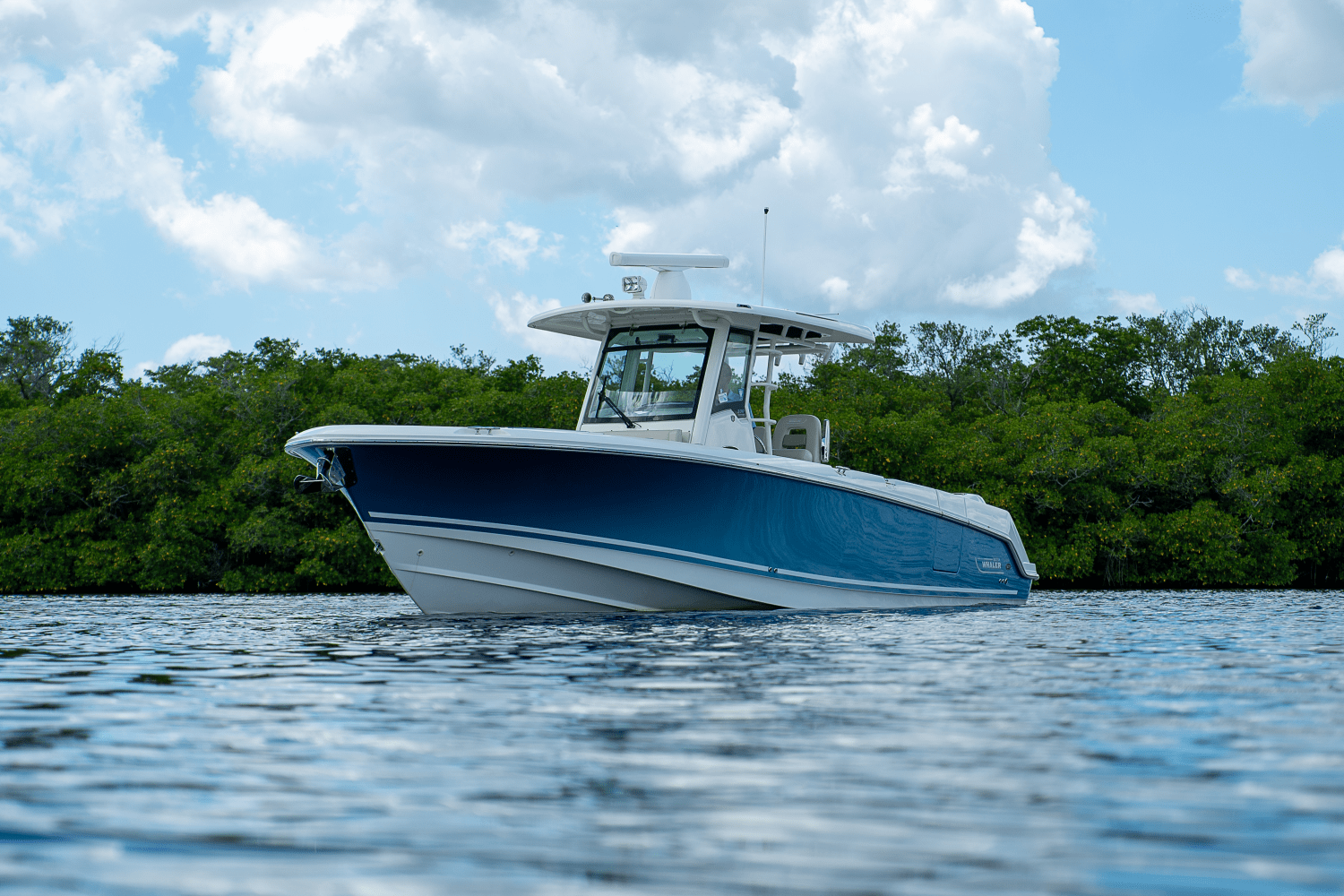 Slide: The Image of Boston Whaler 330 Outrage 2018 - 45