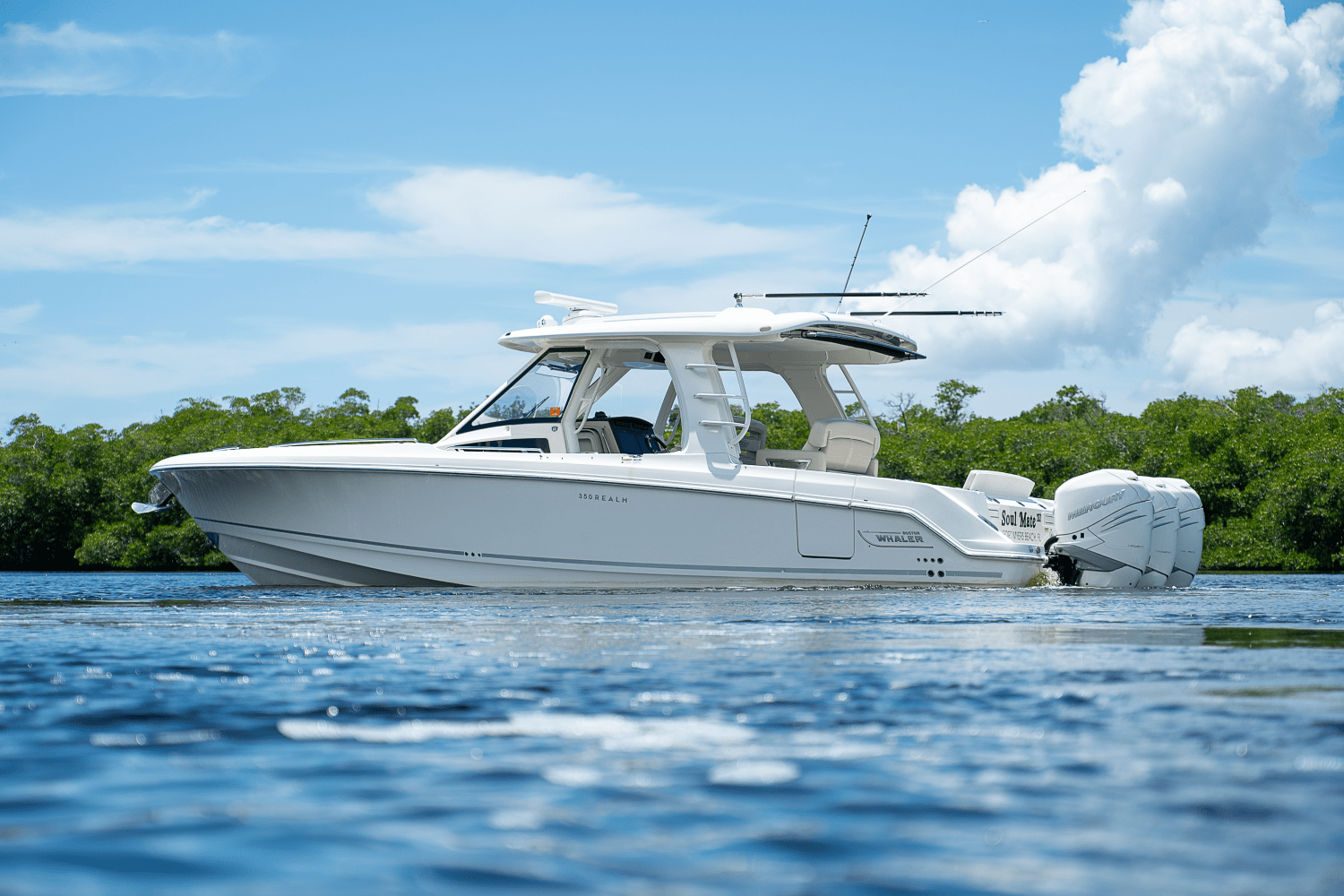 Slide: The Image of Boston Whaler 350 Realm 2018 - 36