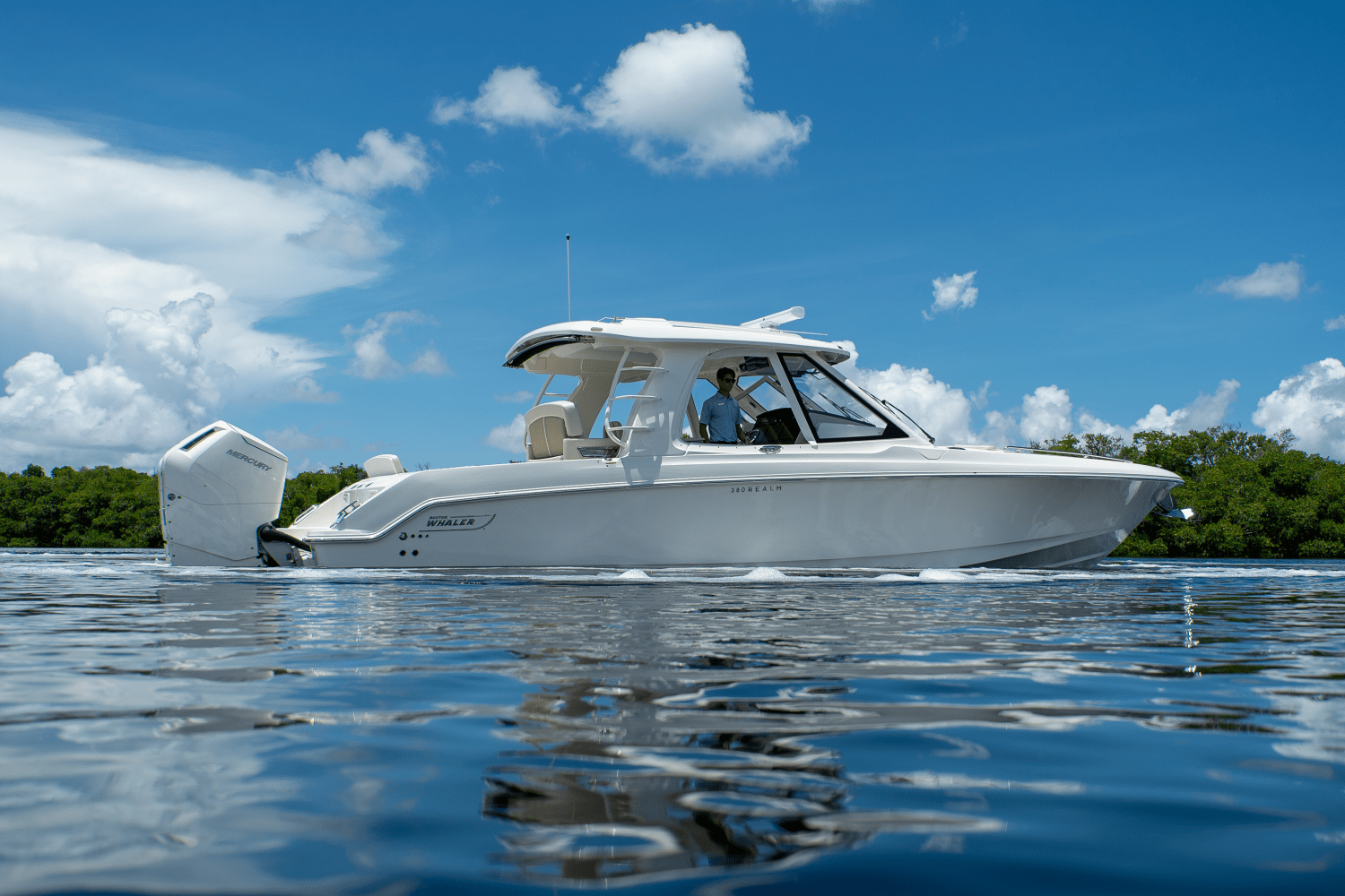 Slide: The Image of Boston Whaler 380 Realm 2024 - 49