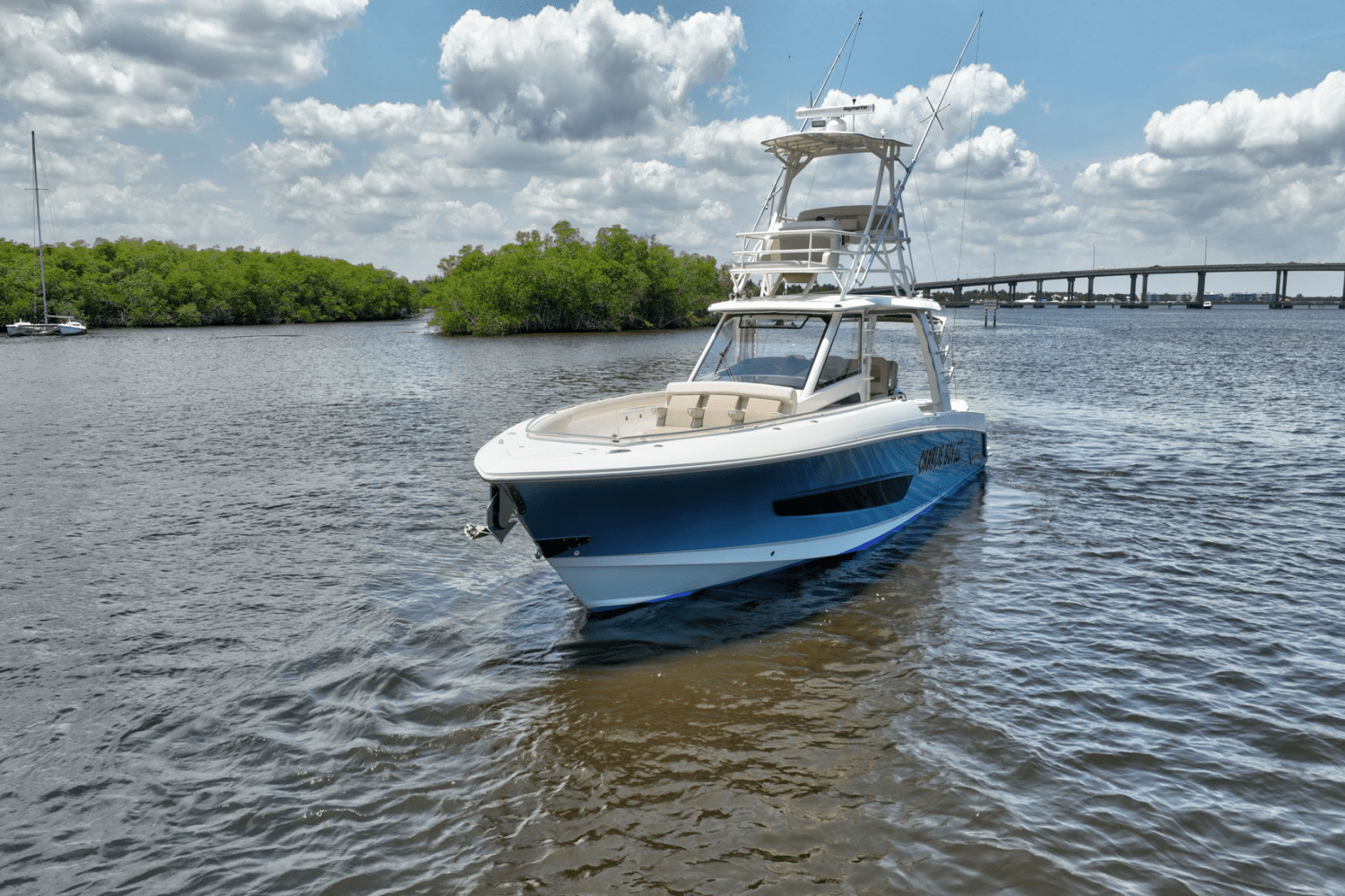 Slide: The Image of Boston Whaler 420 OUTRAGE 2020 - 47