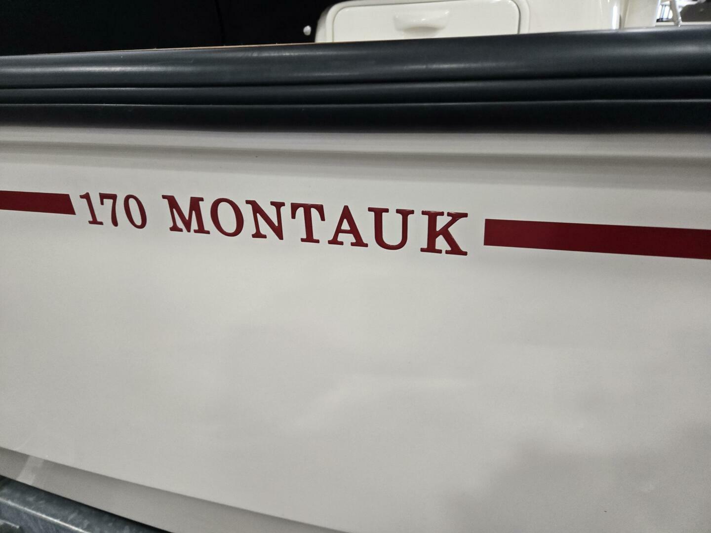 Slide: The Image of Boston Whaler Montauk 2018 - 4525434