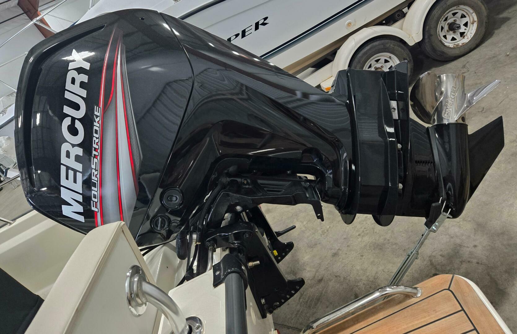 Slide: The Image of Boston Whaler Montauk 2018 - 4525380