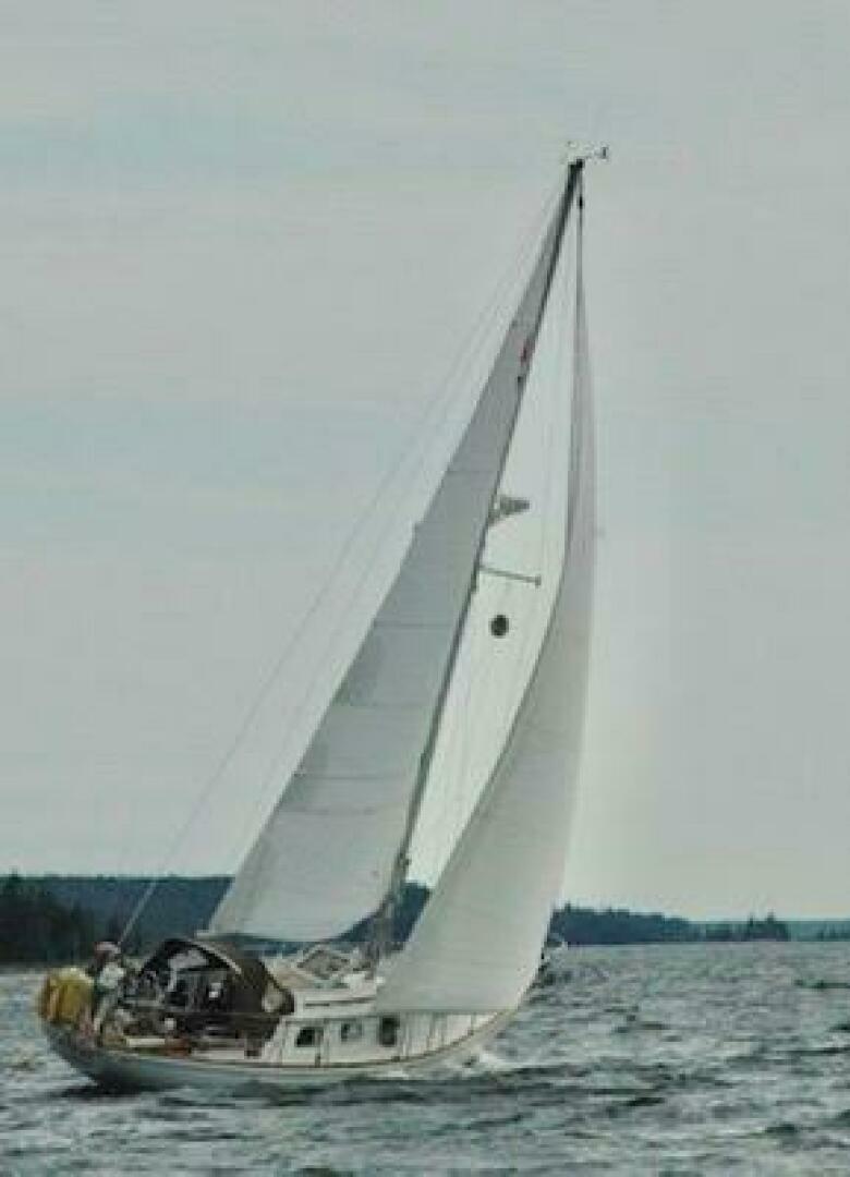 Slide: The Image of Bristol Sloop 1981 - 5146238