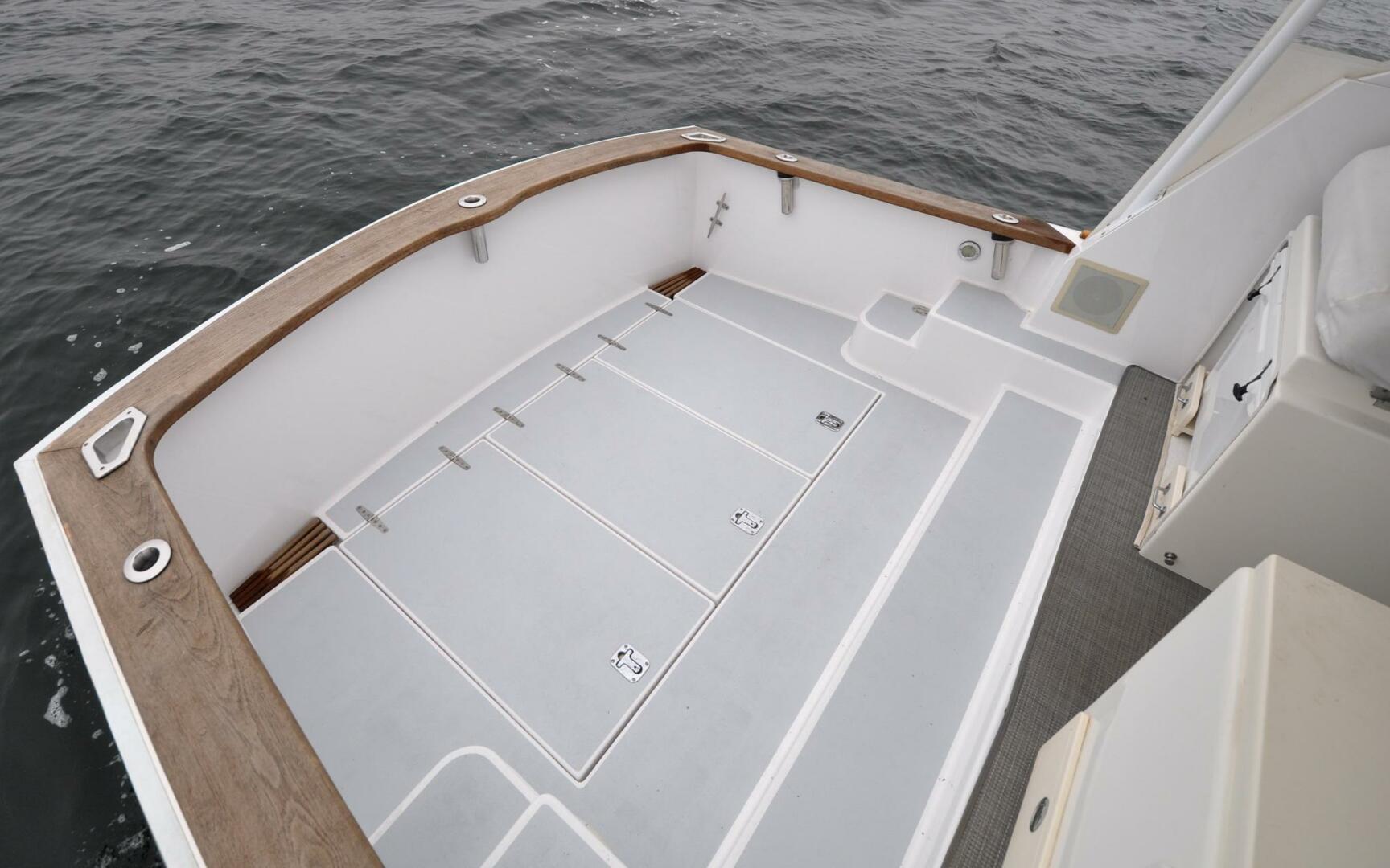 Slide: The Image of Bruckmann 29.9 Bluestar   Finally Maddie   Offered For Sale831 - 3891053