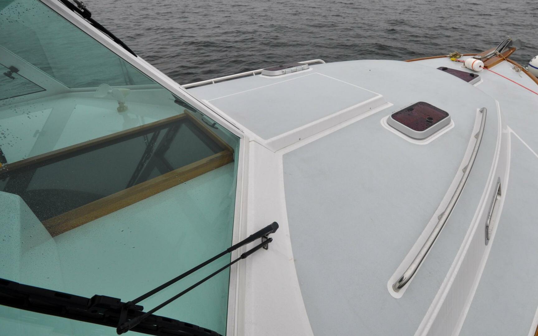 Slide: The Image of Bruckmann 29.9 Bluestar   Finally Maddie   Offered For Sale846 - 3891067