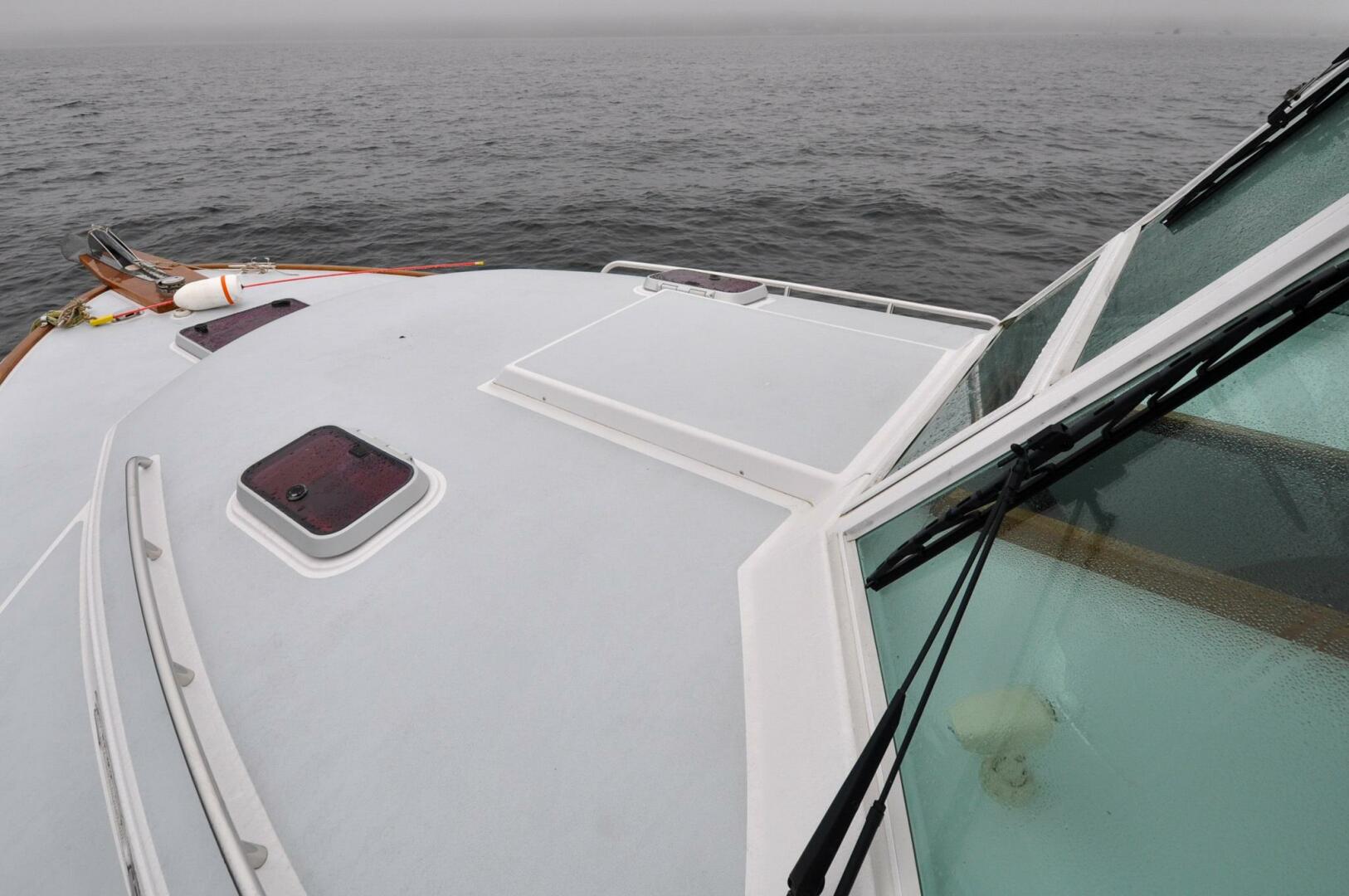 Slide: The Image of Bruckmann 29.9 Bluestar   Finally Maddie   Offered For Sale847 - 3891068