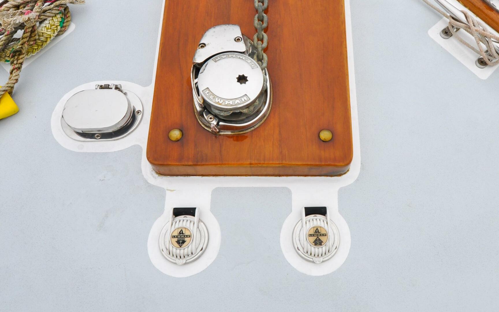 Slide: The Image of Bruckmann 29.9 Bluestar   Finally Maddie   Offered For Sale849 - 3891070