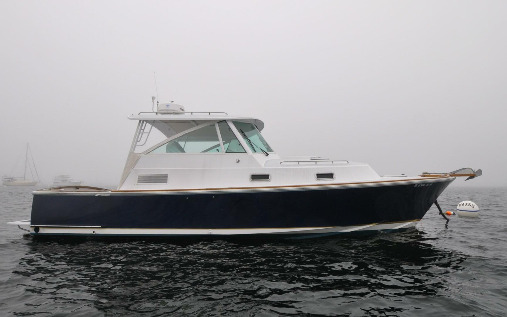Slide: The Image of Bruckmann 29.9 Bluestar   Finally Maddie   Offered For Sale914 - 3891136